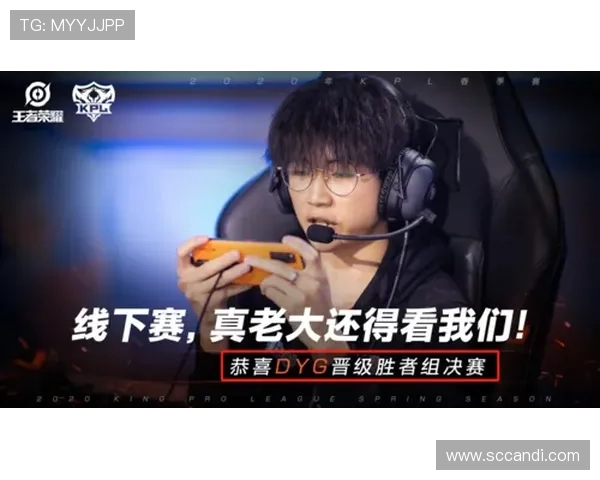 详解AG官网网页版最新功能升级，助力玩家轻松畅享无缝游戏体验