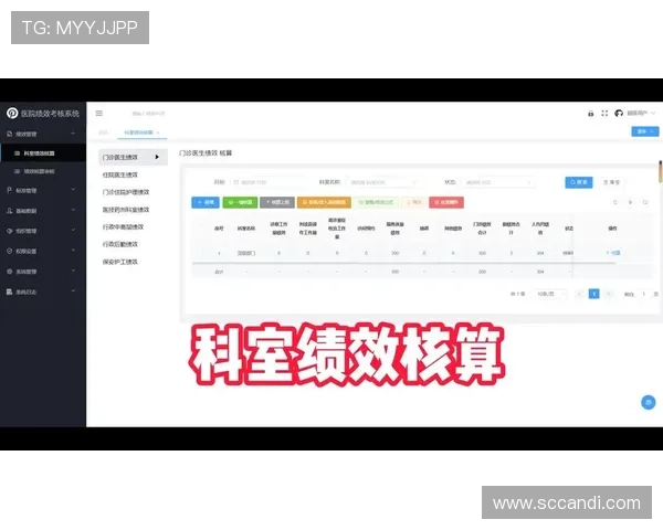 探究bg视讯平台的客户服务与技术支持差异提升用户满意度与问题解决效率